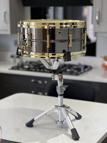 Ludwig black beauty - ludwig,