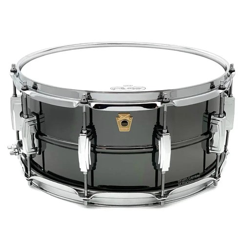 Ludwig black beauty - ludwig,
